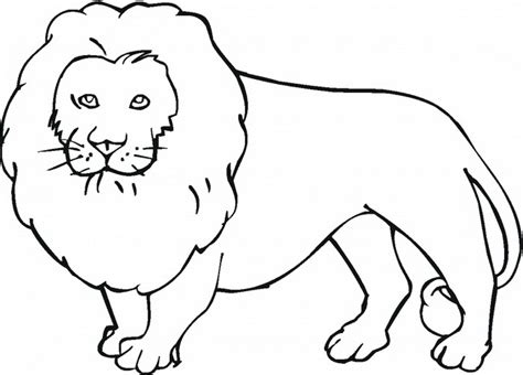Wild Animals Coloring Pages Printable At