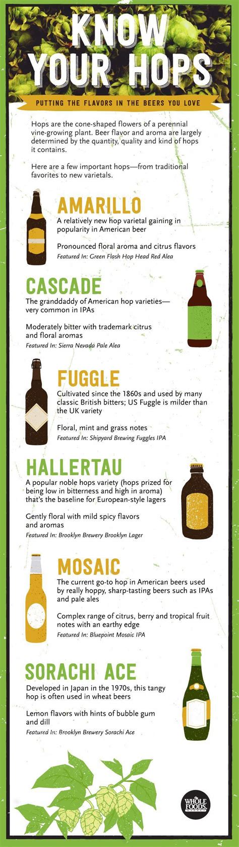 Hops Are Important In Determining The Flavor Of Your Favorite Beers