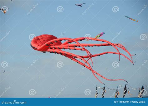 Red Squid Kite At Lincoln City Festival Oregon Stock Photo Image Of