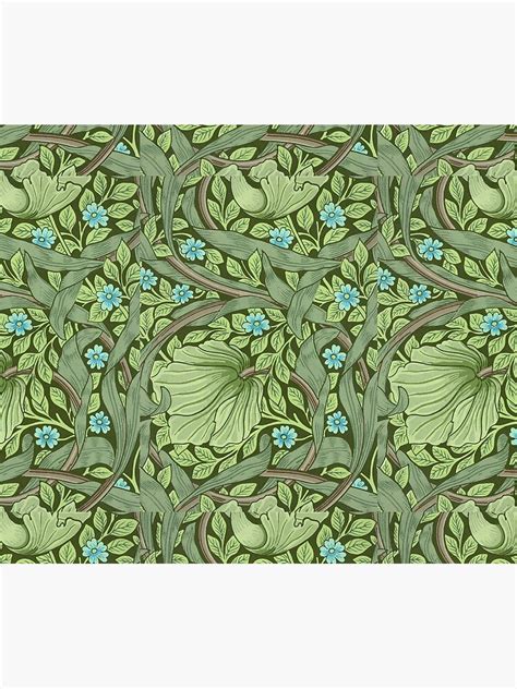 William Morris Wallpaper Sample With Forget Me Nots Throw