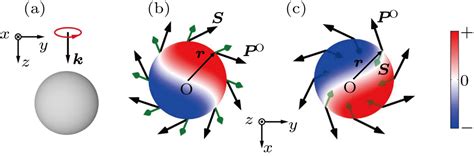 Optical Spin To Orbital Angular Momentum Conversion In Structured