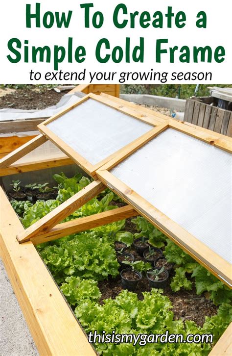 How To Create A Simple Cold Frame To Extend Your Growing Season Cold