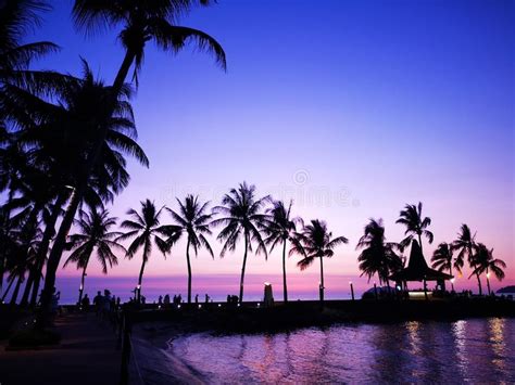 Beautiful Sunset Surrounding With Coconut Trees On The Shore Stock