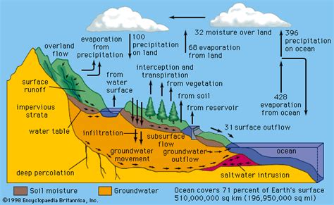 Once Again This Diagram Outlines The Hydrologic Cycle With The