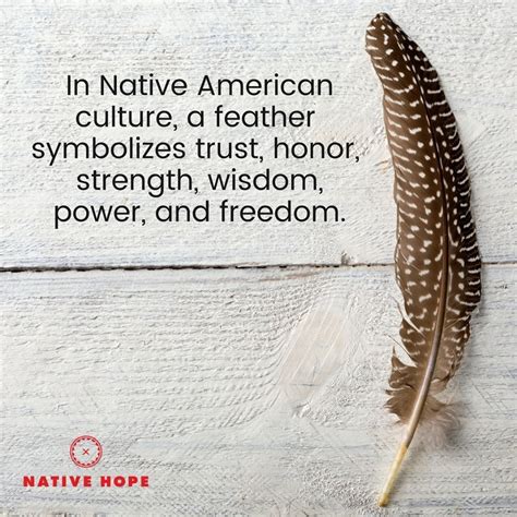 the feather symbolizes native american culture native american feather symbolism