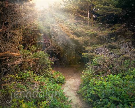 Create More Light Oregons Hobbit Trail A Real Enchanted Forest