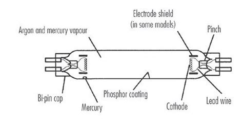 Parts Of Fluorescent Lamp And Its Function Amazing Design Ideas