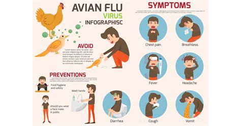 Bird Flu Symptoms Causes Prevention And Treatments