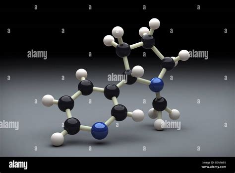 Le Modèle Moléculaire Montrant La Structure Chimique De La Nicotine Photo Stock Alamy
