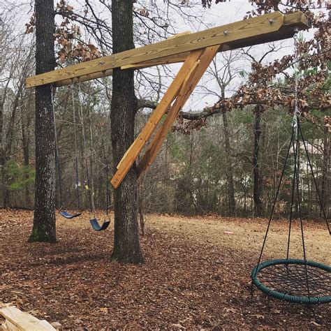 Albums 100 Wallpaper How To Hang A Tire Swing From A Tall Tree Latest