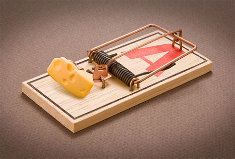 How Does An Old Fashioned Mouse Trap Work