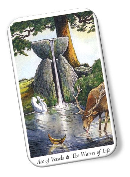 The deck is available for free online, and can be downloaded and printed for personal use. Ace of Vessels Wildwood Tarot Card Meanings - Waters of Life | TarotX