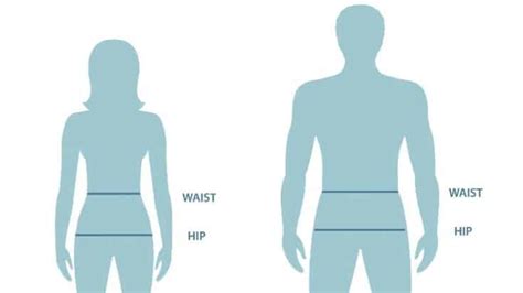 Waist Vs Hip What Is The Difference