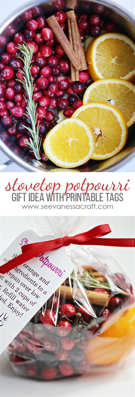 Christmas is right around the corner, and coming up with the perfect gift is hard. Christmas: Stovetop Potpourri Gift Idea - See Vanessa Craft