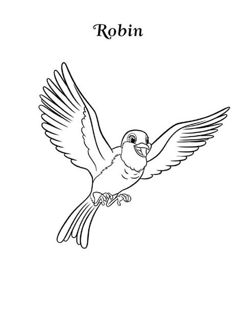 American robin bird on a white background. Happy Robin Bird Coloring Page: Happy Robin Bird Coloring ...