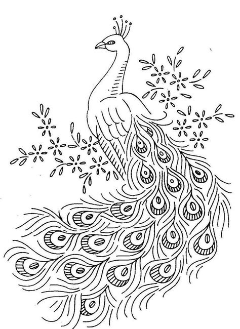 Https://tommynaija.com/coloring Page/cute Parrot Coloring Pages