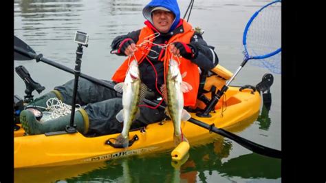 zander fishing - YouTube