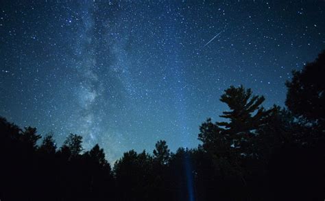 Nature Scenics Nature Silhouette Star Space Treetops 2k Milky