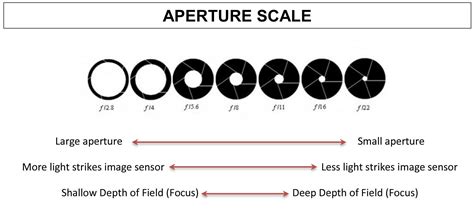 Aperture And F Stop
