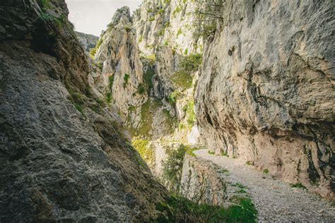 Powerful Rocky Ravine With Cliffs And Narrow Path · Free Stock Photo