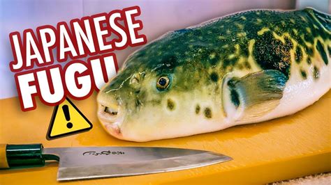 What Japans Deadliest Dish Tastes Like Poisonous Blowfish Fugu