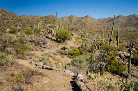 The Adventures Of Ken Tortolita Mountain Park Marana Arizona