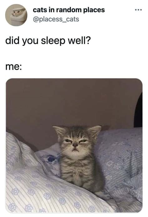 32 Funny And Relatable Memes About Our Complicated Relationship With Sleep