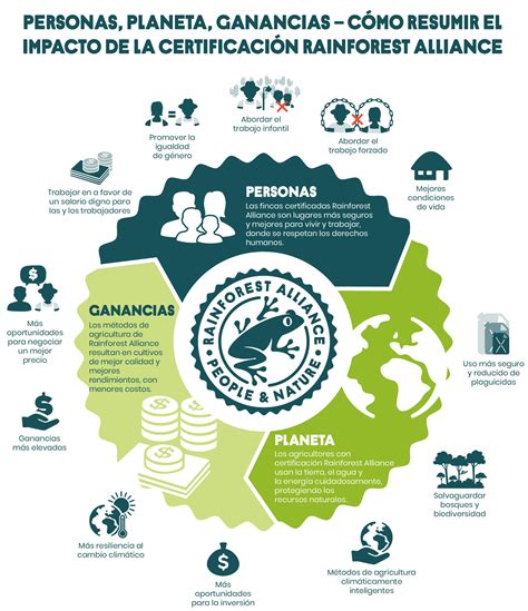 Rainforest Alliance La Certificaci N De La Rana Followthefrog Con Cela