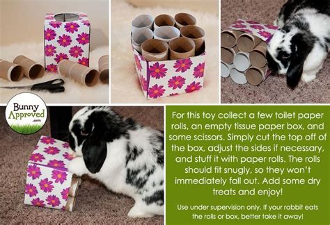 Easy Cardboard Toy Diy Bunny Toys Rabbit Toys Diy Toys For Rabbits