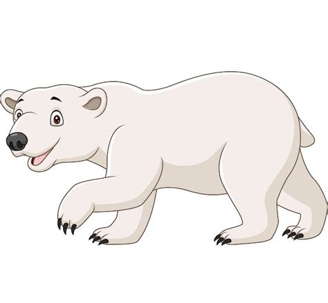 Oso Polar De Dibujos Animados Aislado En Blanco Vector Premium
