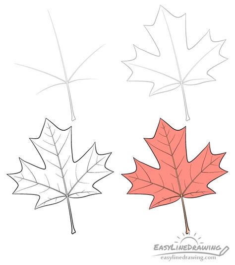 How To Draw A Maple Leaf Step By Step Easylinedrawing Leaf Drawing