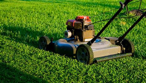 No matter whether you maintain your lawn yourself or hire a service, this is a good time to examine the best practices for growing healthy turfgrass. Lawn Mowing & Maintenance in Columbus | Wikilawn
