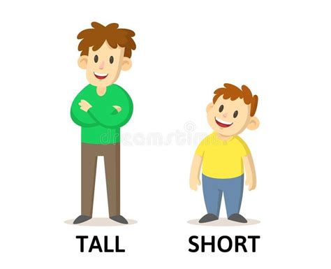 Words Tall And Short Flashcard With Cartoon Characters Opposite
