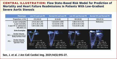 Prognosis Of Severe Low Flow Low Gradient Aortic Stenosis By Stroke Volume Index And