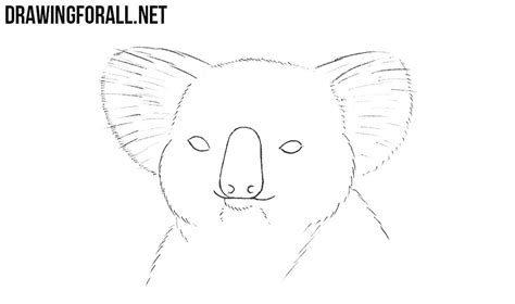 Our hands are extremely expressive and can form endless amounts of gestures. How to Draw a Koala Head | Drawingforall.net