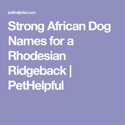Strong African Dog Names For A Rhodesian Ridgeback From Ata To Zula