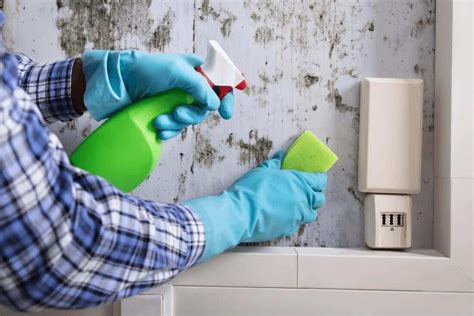 How To Remove Mold From Wood And Drywall Mold Remediation