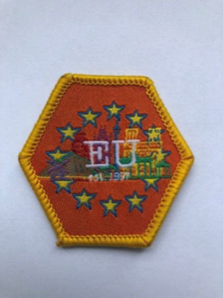Guide Europe Badge Irish Girl Guides