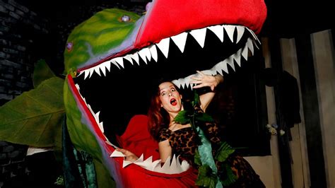 Little Shop Of Horrors Promises A Monstrously Good Night Of Theatre
