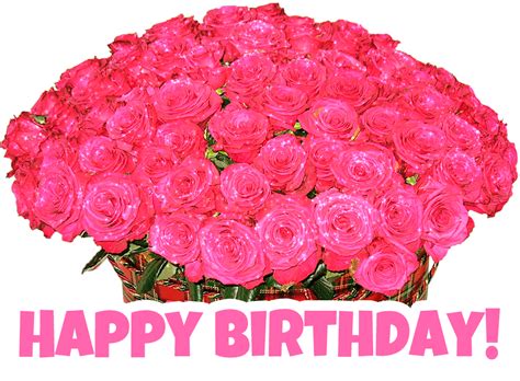 Bright Pink Happy Birthday Roses  Pictures Photos And Images For
