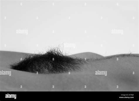 Closeup Abstract Of A Woman S Pubic Hair Stock Photo Alamy