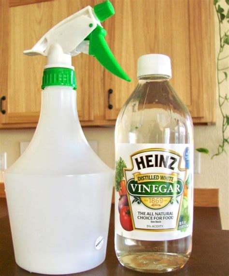 But, there are things you can do to. Homemade Weed Killer with White Vinegar! {DIY Spray}