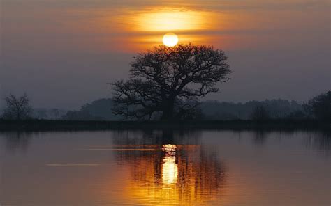 Lake Sunset Tree Reflection Wallpaper Hd 03524
