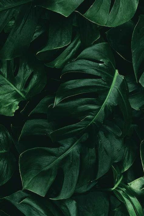 Dark green aesthetic baby blue aesthetic aesthetic colors aesthetic collage green aesthetic tumblr black wallpaper iphone red wallpaper cute wallpaper backgrounds cute wallpapers. Pin by Klowbi on Aesthetic in 2020 | Green aesthetic, Dark ...