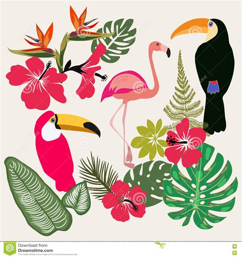 Set Of Summer Tropical Graphic Elements Stock Vector Illustration Of