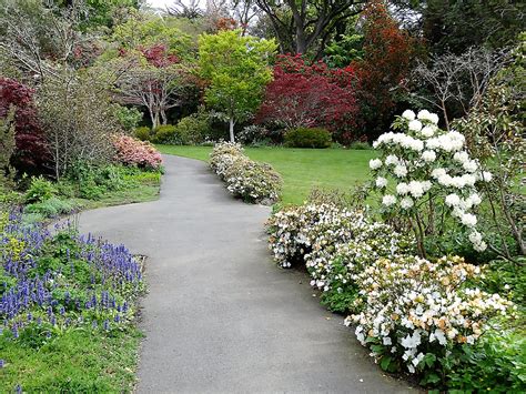 5 Five 5 Auckland Botanic Gardens Manurewa New Zealand