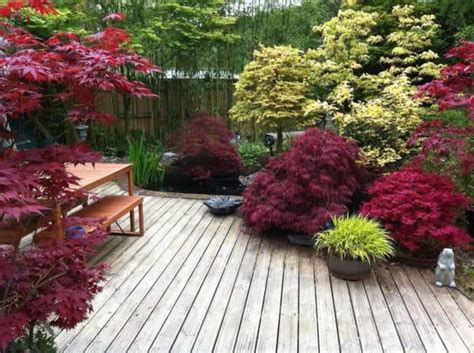 With an exotic look, bamboo is making a bamboo project is pretty easy and cheap. Small Japanese Garden Transforms This Backyard - Watch