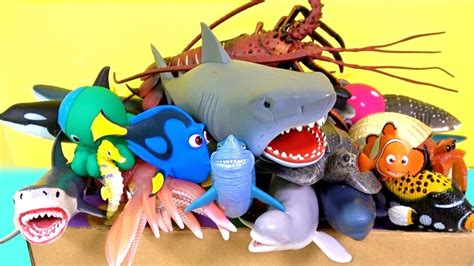 Learn Sea Animal Names Box Of Sea Animal Toys For Children Sharks
