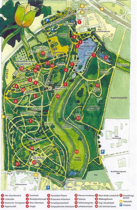 Der botanische garten rombergpark versucht, möglichst viele besuche an dem seltenen botanischen ereignis teilhaben zu lassen. Freunde und Förderer des Botanischen Gartens Rombergpark e ...