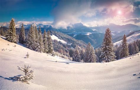 Sunny Winter Morning In Snowy Mountains Stock Photo Image Of